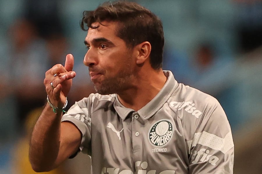 Abel protagonizou nova polêmica a frente do Palmeiras - Cesar Greco/Palmeiras