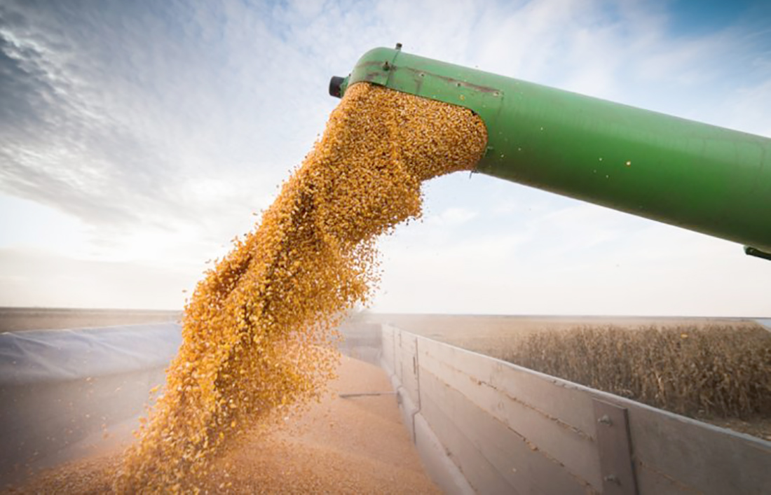 Mato Grosso vende no exterior 9% a mais de milho