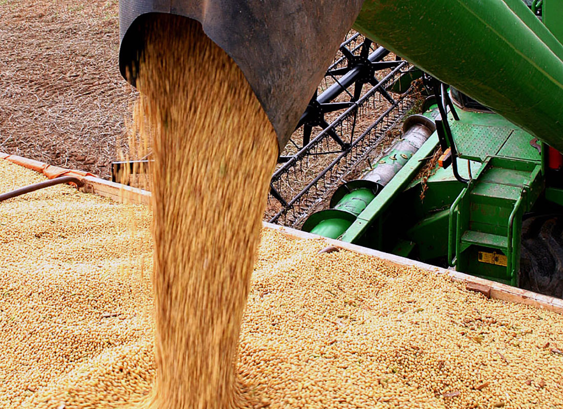 Custo da safra de soja em Mato Grosso cai 15,5% e IMEA orienta produtor sobre oportunidades de ‘conciliar contas’