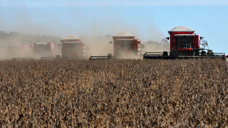 Safra de grãos em Mato Grosso deve chegar em 146 milhões de toneladas em 7 anos, aponta governo