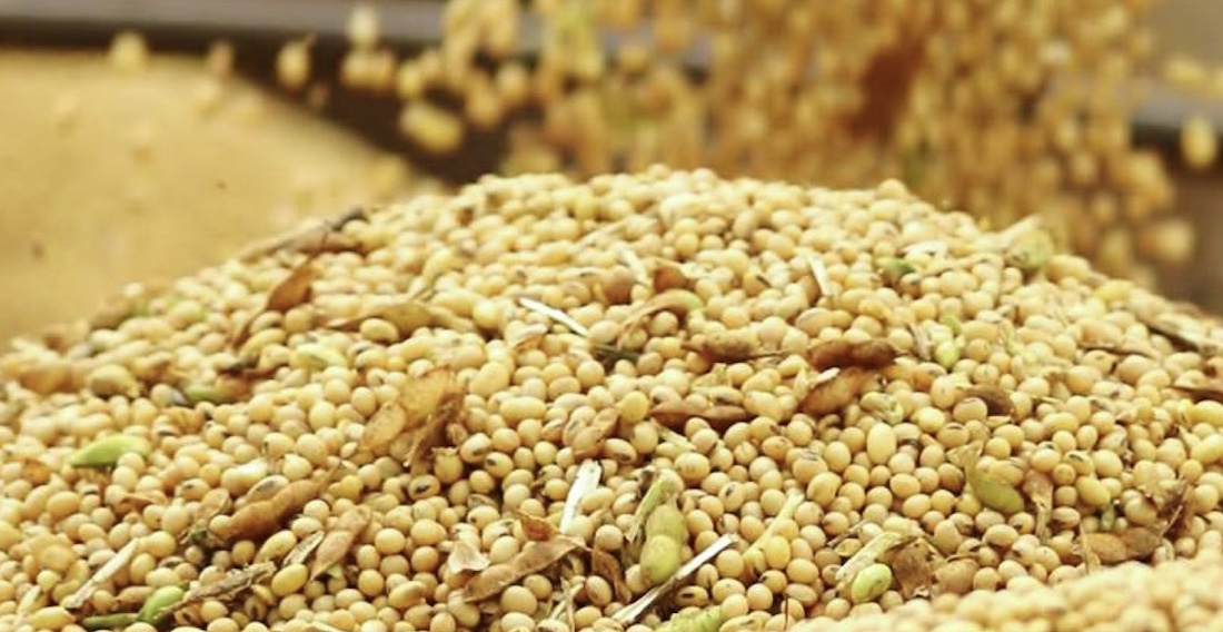 Venda da soja em Mato Grosso chega a 88% da safra e preço médio de R$ 118