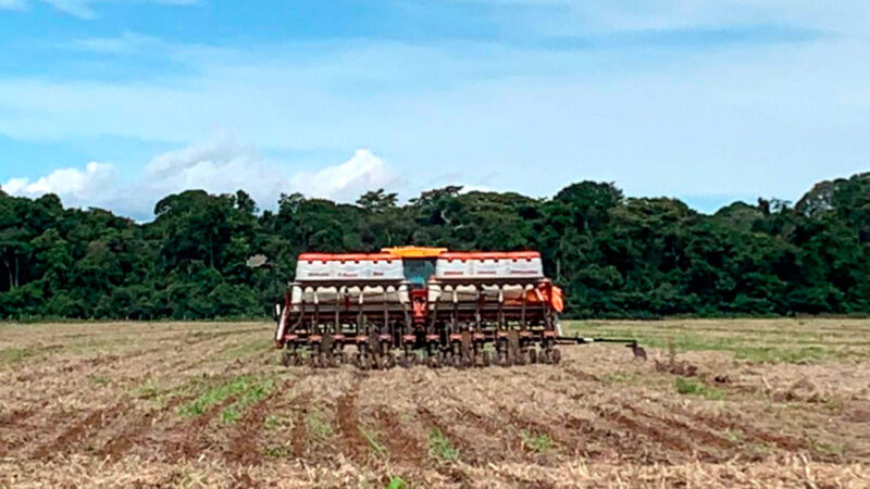 Plantio da soja em Mato Grosso chega a 35% da área total