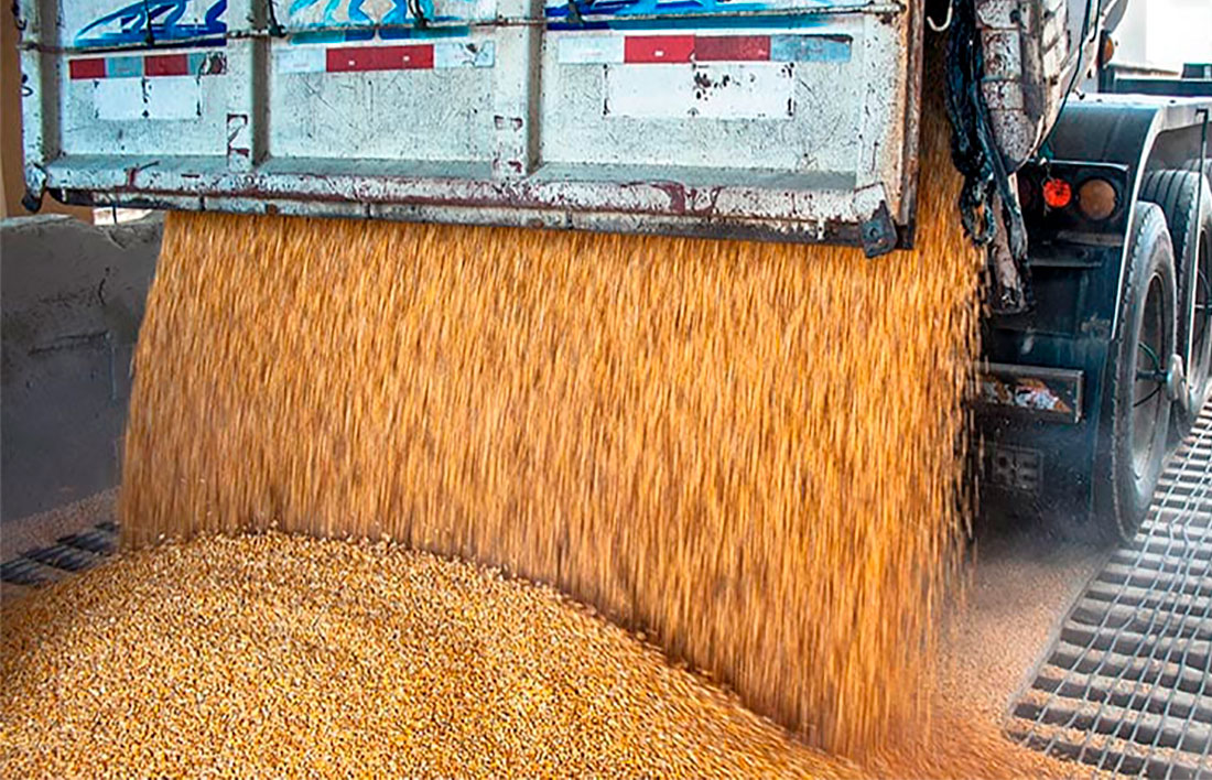 Mato Grosso já supera todo ano passado volume de exportações de soja