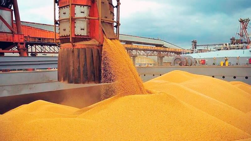 Demanda do milho em Mato Grosso aumenta impulsionada pelas exportações