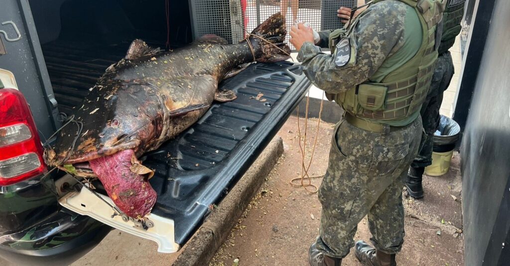 Batalhão Ambiental prende dois homens com peixe de 68 kg e aplica multa de R$ 40 mil