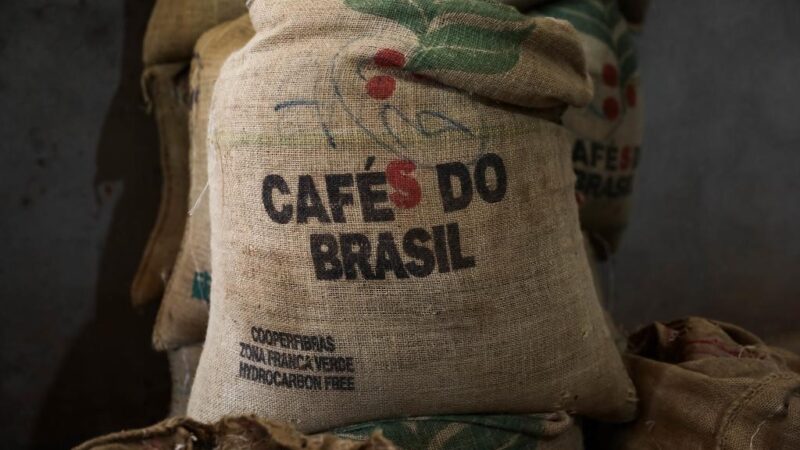 Município de Mato Grosso com maior produção de café colhe 100 mil sacas por ano