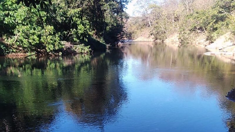 Aumento da piscicultura, agropecuária, mineração e sistema de irrigação na bacia do Rio Cuiabá é preocupante, diz pesquisa