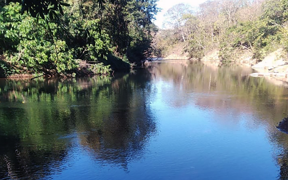 Aumento da piscicultura, agropecuária, mineração e sistema de irrigação na bacia do Rio Cuiabá é preocupante, diz pesquisa