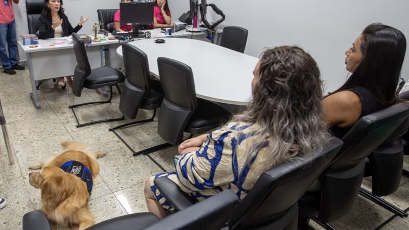 Judiciário em MT implanta o ‘jurídicão’ com cães treinados para bem-estar de servidores e pessoas em situação de vulnerabilidade