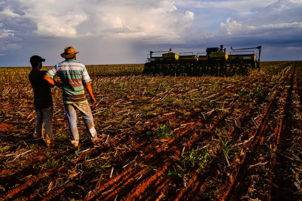 Instituto aponta que em ‘alta parcela’ de fazendas em Mato Grosso foi necessário replantar soja Instituto aponta que em ‘alta parcela’ de fazendas em Mato Grosso foi necessário replantar soja