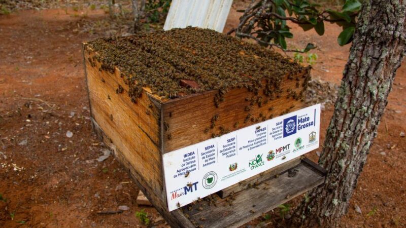 Pequenos agricultores recebem caixas de abelhas confeccionadas por reeducandos de Sorriso