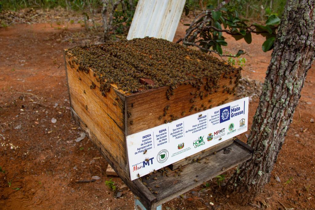 Pequenos agricultores recebem caixas de abelhas confeccionadas por reeducandos de Sorriso