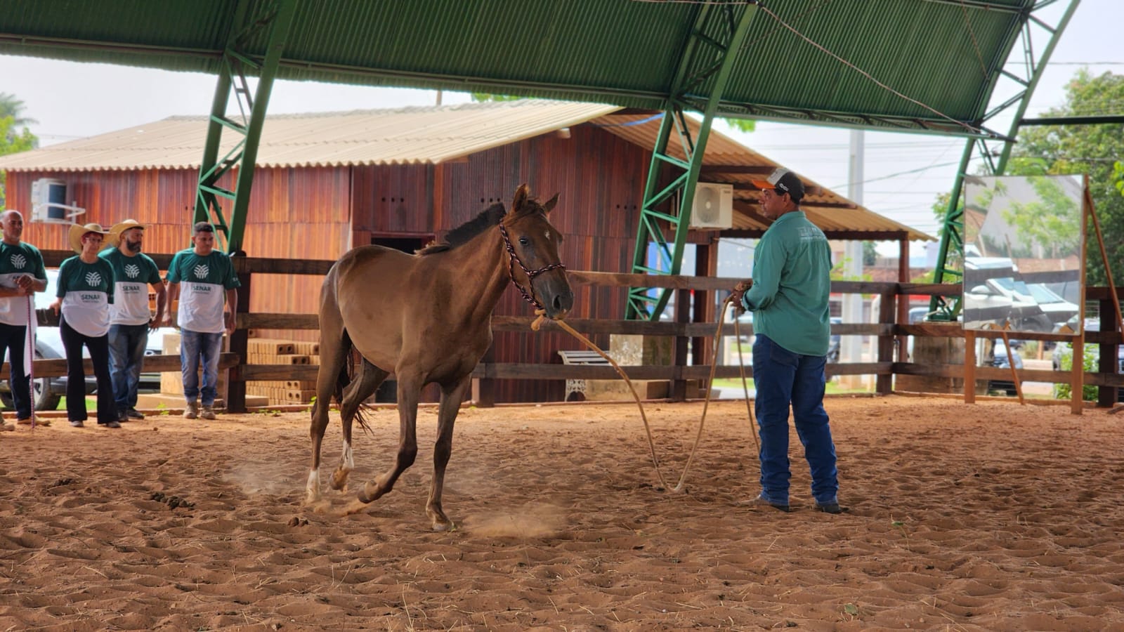 Secretaria de MT retoma projeto de equoterapia para crianças com deficiência e necessidades especiais em Cuiabá