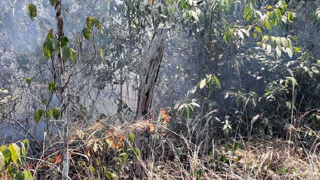 Governo do Estado confirma que 100 militares combatem queimadas no Pantanal e demais regiões