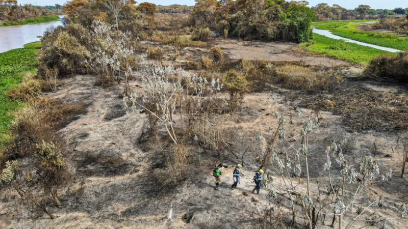 MT tem 22 municípios na lista dos que mais desmataram a Amazônia em 2023