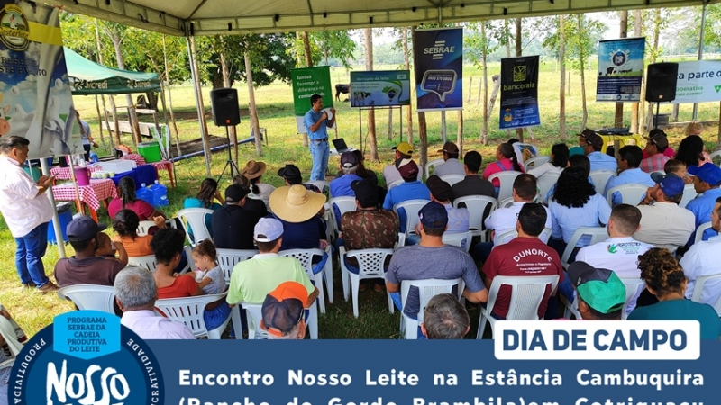 Sebrae, Prefeitura de Cotriguaçu e parceiros promovem Dia de Campo sobre manejo de pastagens para bovinos de leite