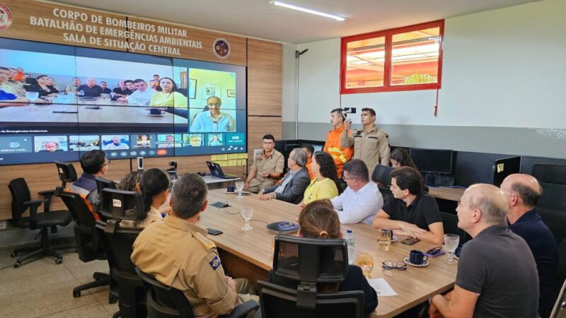 Reunião com ministra do Meio Ambiente define envio de brigadistas e aeronaves para auxiliar combate a incêndio em Pantanal  