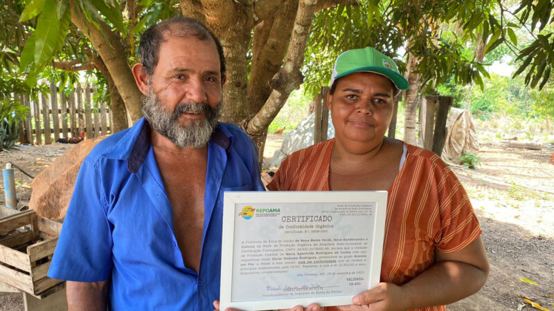 Agricultoras com certificado orgânico fazem sucesso nas feiras: “Quero da sua verdura porque sei que não tem veneno”