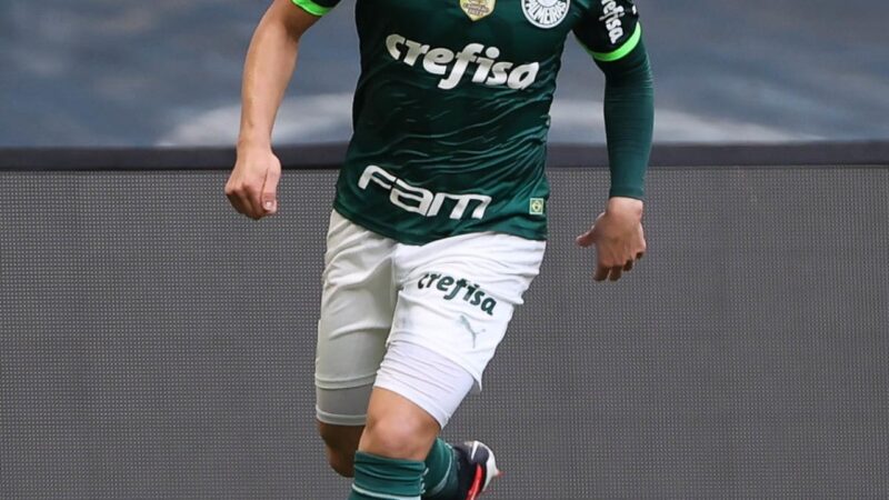 Palmeiras pode ampliar hegemonia no Brasileirão; veja maiores campeões