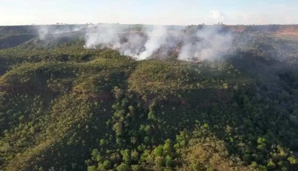 Incêndio atinge divisa do Santuário de Elefantes em Mato Grosso