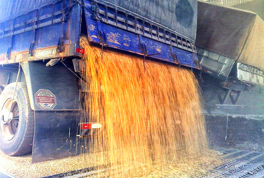 Venda de milho disponível em Mato Grosso sobe e preço de novembro cai