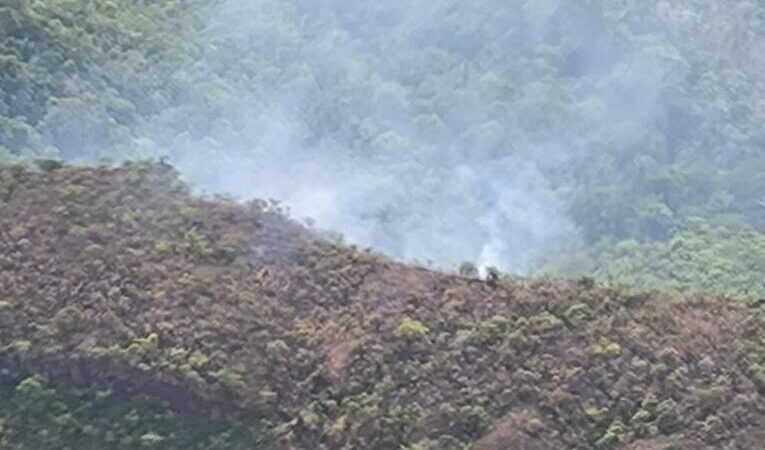 Bombeiros identificam áreas prioritárias para combate de incêndio próximo de Santuário de Elefantes em MT