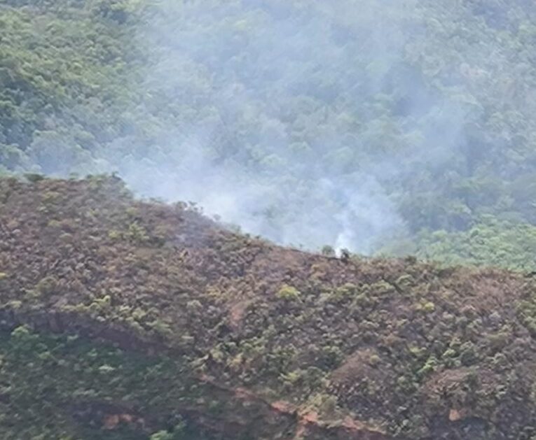 Bombeiros identificam áreas prioritárias para combate de incêndio próximo de Santuário de Elefantes em MT