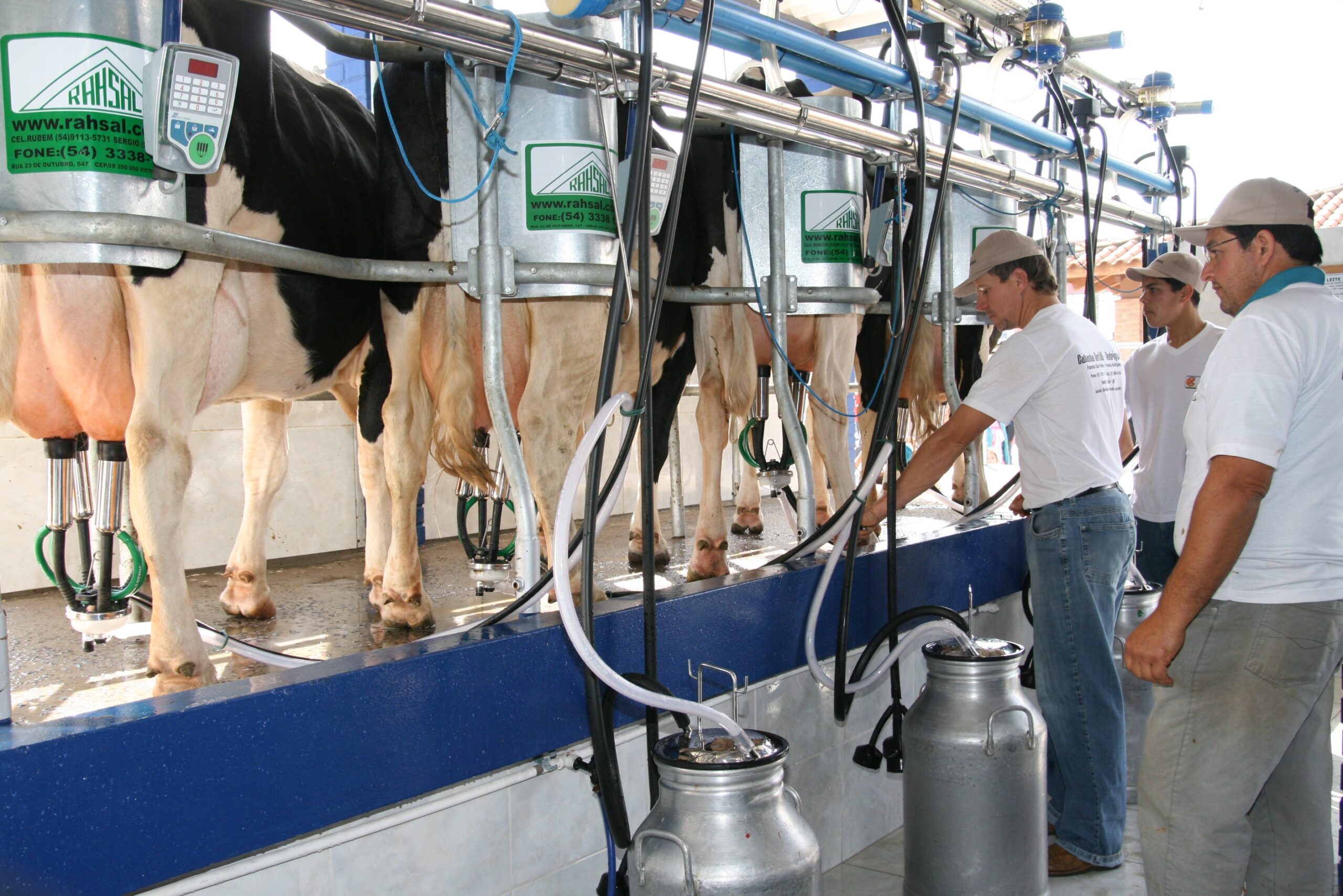 Preço do litro de leite pago ao produtor em Mato Grosso cai 8,4%