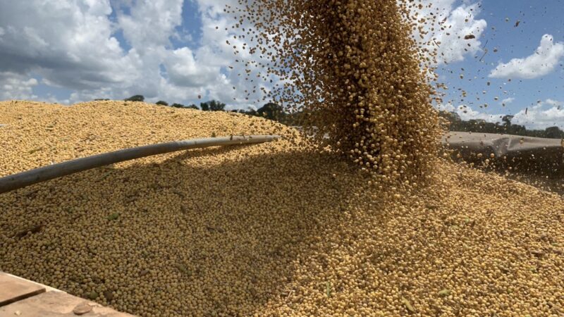 Cotação da soja disponível em Mato Grosso cai mais de 1,5%
