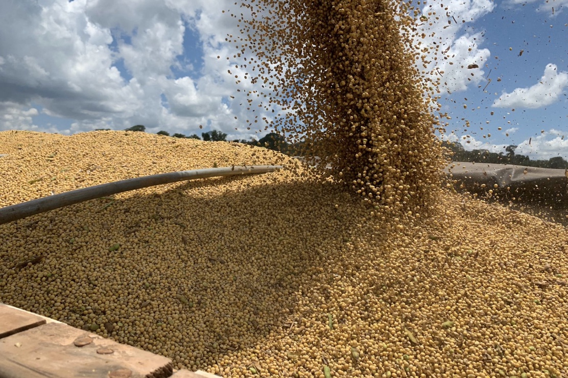 Cotação da soja disponível em Mato Grosso cai mais de 1,5%