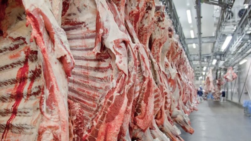 Mato Grosso tem 2º melhor resultado na exportação de carne; Egito e Emirados compram mais