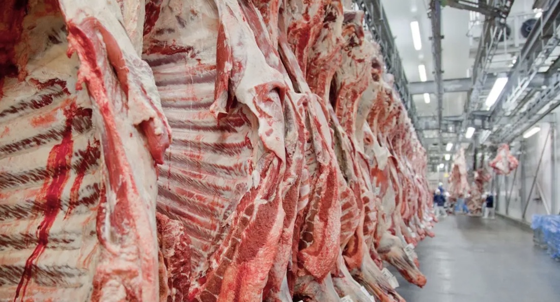 Mato Grosso tem 2º melhor resultado na exportação de carne; Egito e Emirados compram mais Mato Grosso tem 2º melhor resultado na exportação de carne; Egito e Emirados compram mais