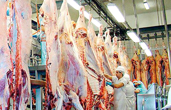 Egito e Emirados Árabes Unidos aumentam a compra de carne bovina de Mato Groso