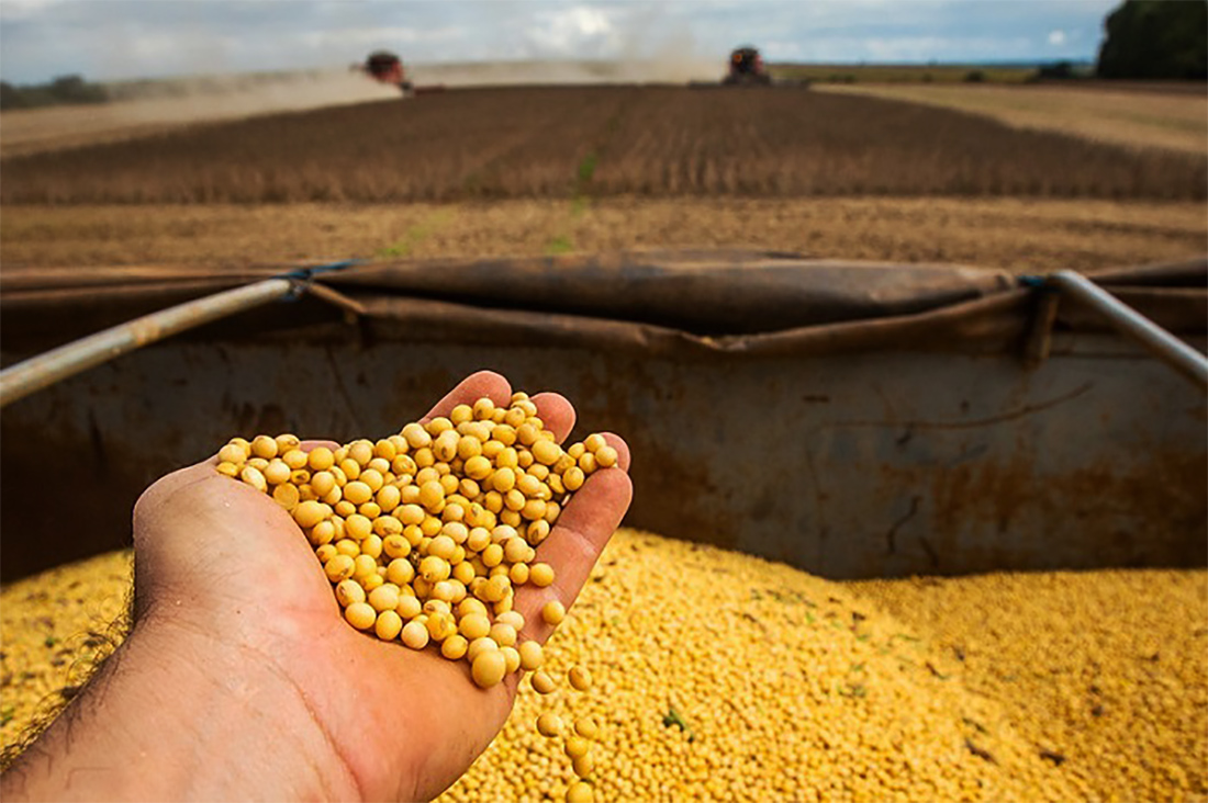 Cotação da soja disponível em Mato Grosso cai 8,9%