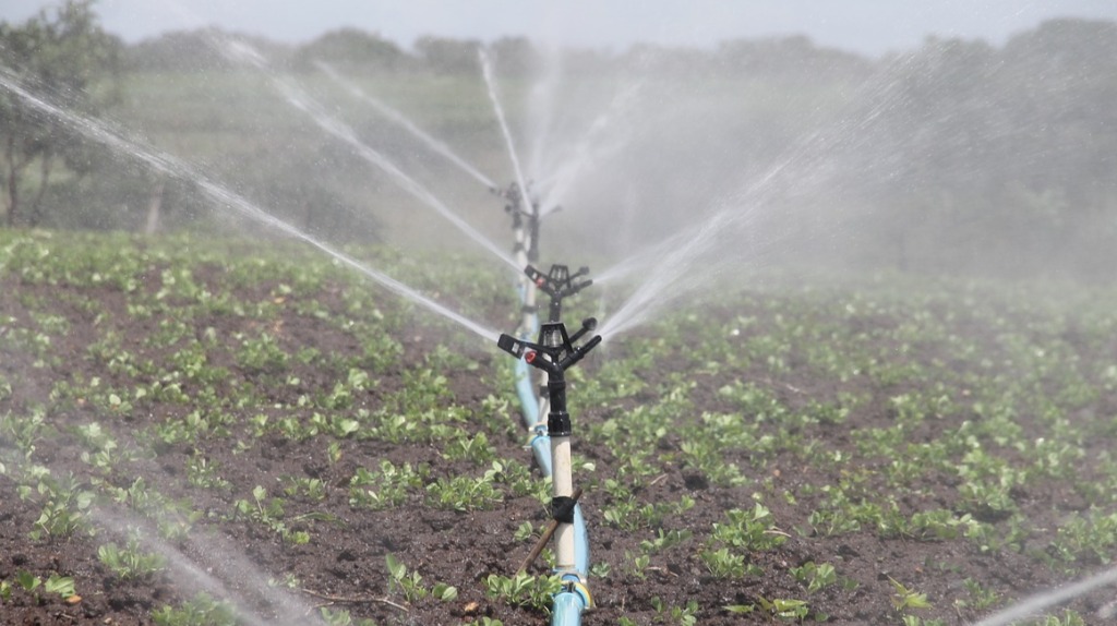 Pesquisadores da UFMT de Sinop iniciam projeto para auxiliar pequenos produtores na irrigação Pesquisadores da UFMT de Sinop iniciam projeto para auxiliar pequenos produtores na irrigação