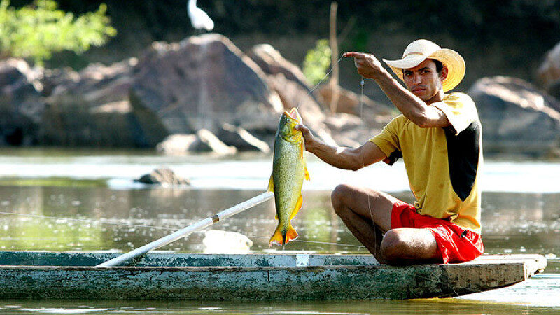 Governo de MT flexibiliza lei e libera pesca de mais de 100 espécies