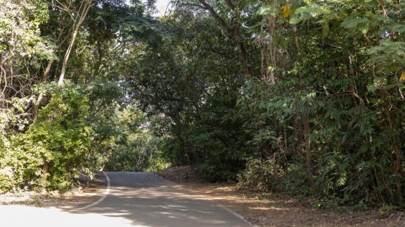 Parques estaduais são opções de lazer ao ar livre durante feriado prolongado de Carnaval