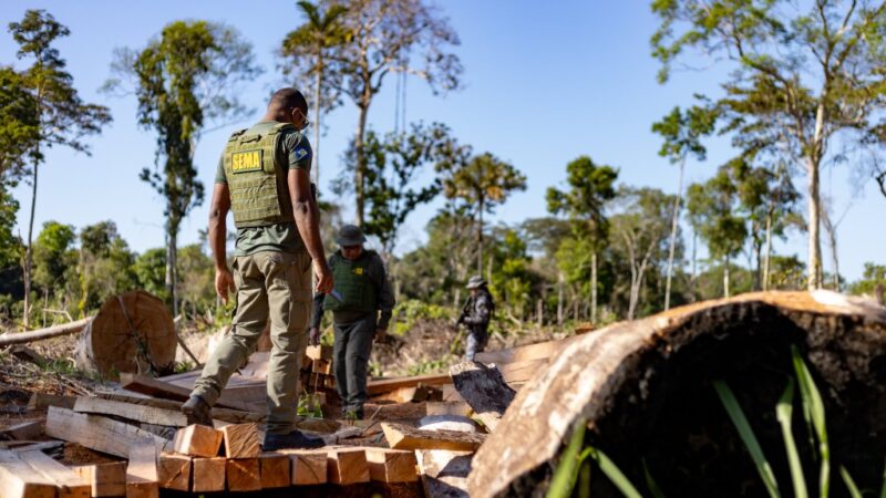 Período proibitivo para exploração do manejo florestal sustentável em MT segue até 1º de abril