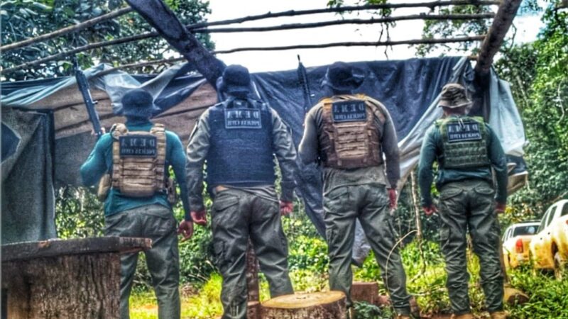 Polícia Civil fecha madeireira em continuidade a operação de combate ao desmate ilegal em Nova Maringá