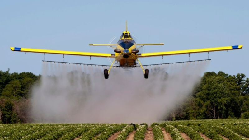 Indea pede que produtores rurais se atentem as novas restrições quanto ao uso de agrotóxicos à base de tiametoxam