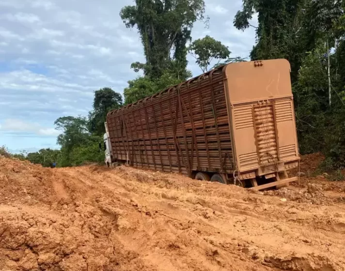 DIFICULDADE NA ESTRADA – Pecuaristas sofrem com transportes em rodovia precária entre Colniza e Cotriguaçu