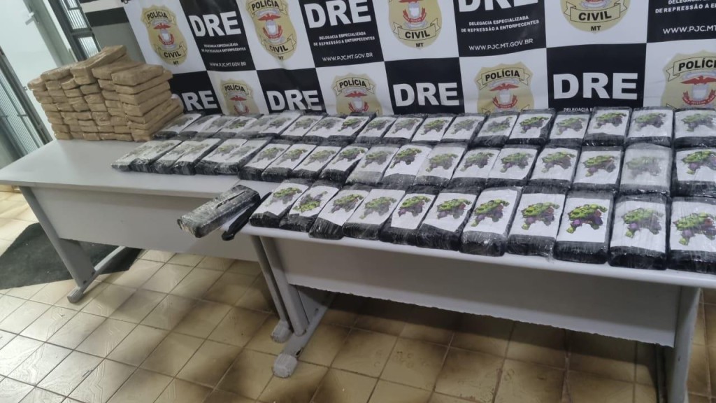 Polícia Civil apreende 100 tabletes de cocaína transportados em caminhão de carga