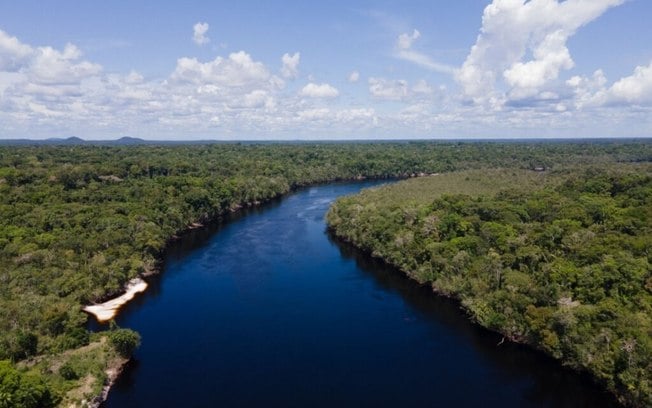 3 dicas do que fazer ao visitar o Amazonas