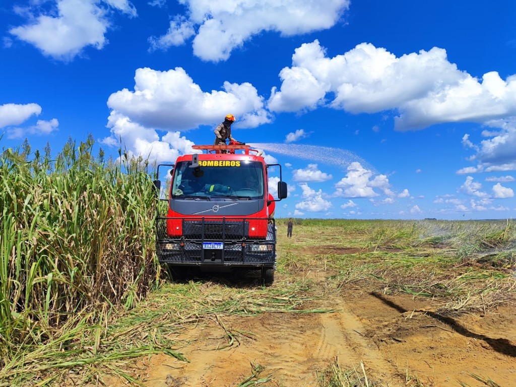 Bombeiros combatem incêndio em vegetação