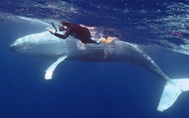 4 dicas para conhecer as maravilhas do arquipélago de Tonga