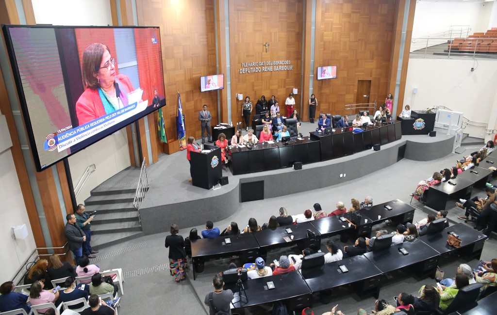 Audiência pública com ministra das Mulheres debate violência de gênero Audiência pública com ministra das Mulheres debate violência de gênero