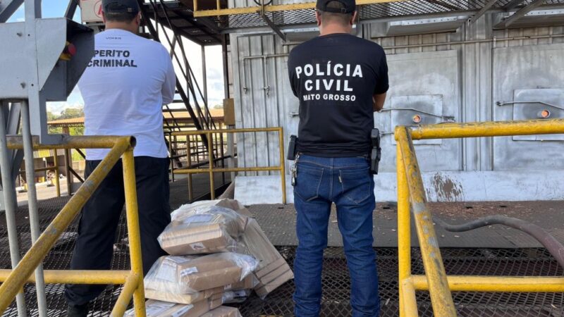 Polícia Civil incinera cerca de 120 quilos de maconha em Alto Araguaia