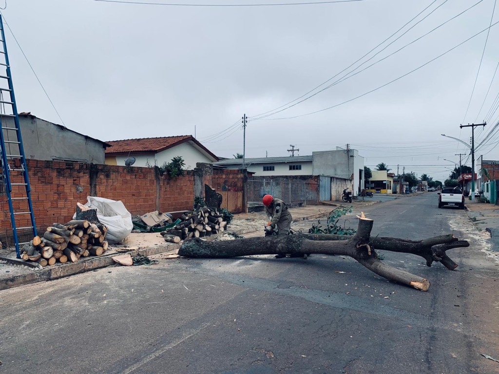 Corpo de Bombeiros Militar realiza corte preventivo de árvore que tinha risco de queda iminente Corpo de Bombeiros Militar realiza corte preventivo de árvore que tinha risco de queda iminente