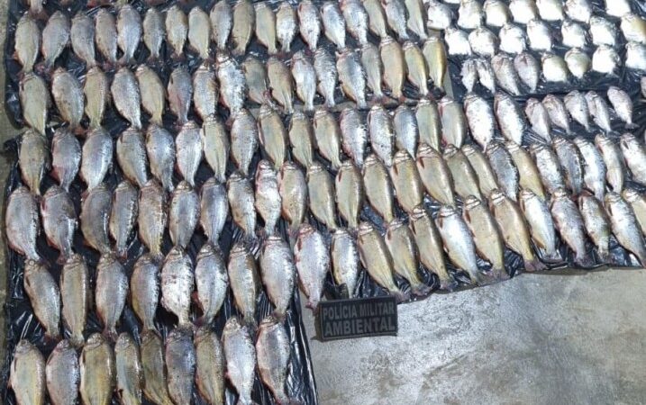 Batalhão Ambiental prende homem por pesca predatória e apreende 213 unidades de peixes