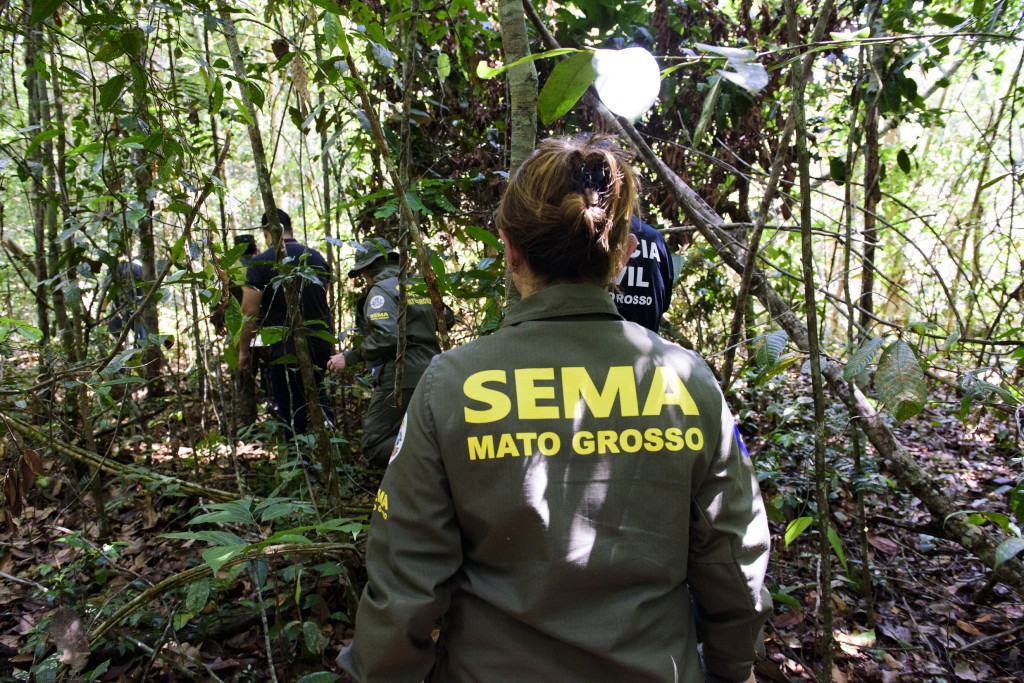 Governo de MT já aplicou R$ 303 milhões em multas por crimes ambientais em 2024 Governo de MT já aplicou R$ 303 milhões em multas por crimes ambientais em 2024